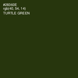 #28360E - Turtle Green Color Image